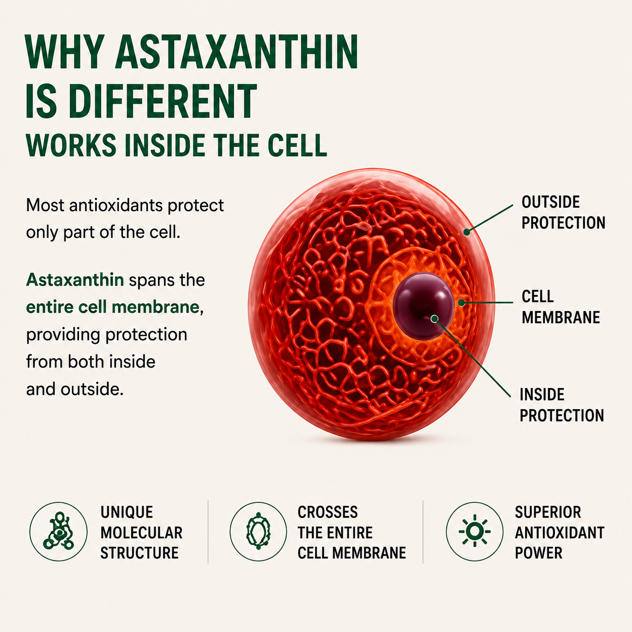 Astaxanthin Softgels (12mg)